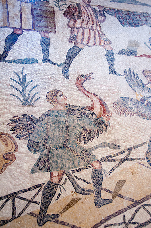 ヴィッラ・ロマーナ・デル・カサーレの画像22