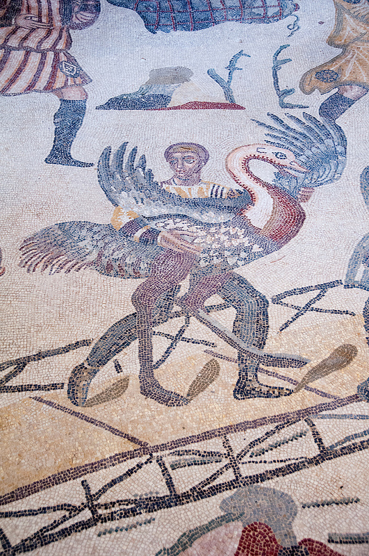 ヴィッラ・ロマーナ・デル・カサーレの画像23