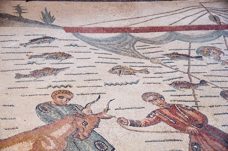 ヴィッラ・ロマーナ・デル・カサーレの画像25