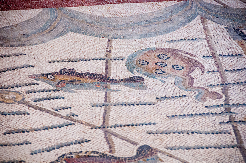 ヴィッラ・ロマーナ・デル・カサーレの画像28