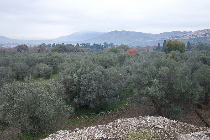 ティヴォリのハドリアヌス別荘の画像20