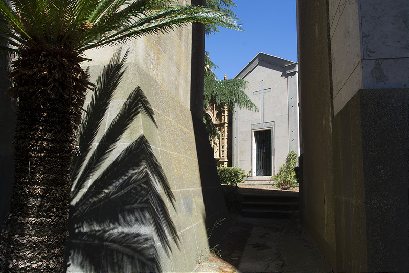 カルタジローネの画像5