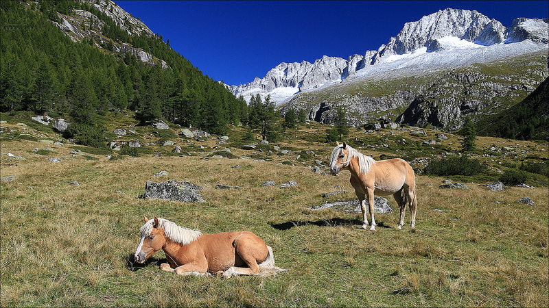 Dolomiti di Brenta                  Trento,                  Trentino-Alto Adige,の画像5