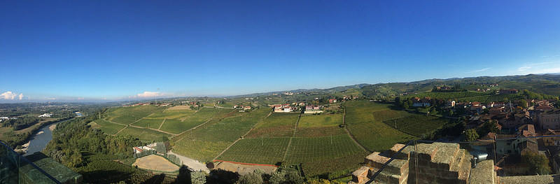 ピエモンテの葡萄畑景観：ランゲ・ロエロ・モンフェッラートの画像8