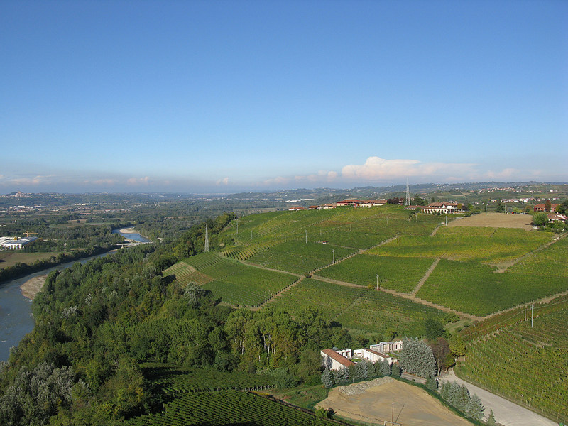 ピエモンテの葡萄畑景観：ランゲ・ロエロ・モンフェッラートの画像10