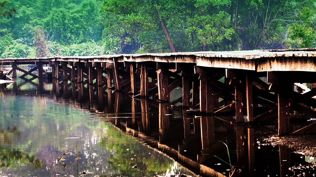 アラブ-ノルマン様式のパレルモおよびチェファルとモンレアーレの大聖堂の画像27