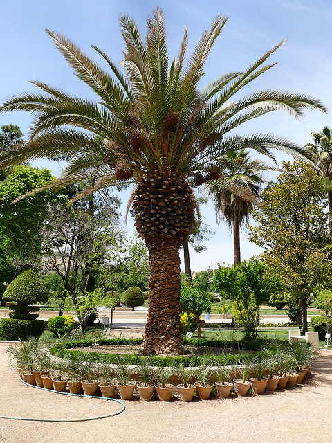 エラム庭園の画像2