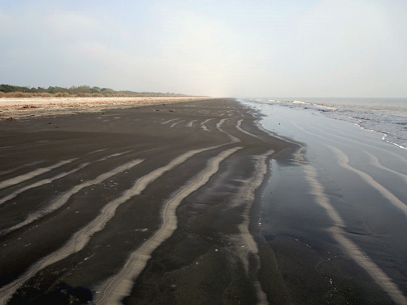 スンダルバンス国立公園の画像11