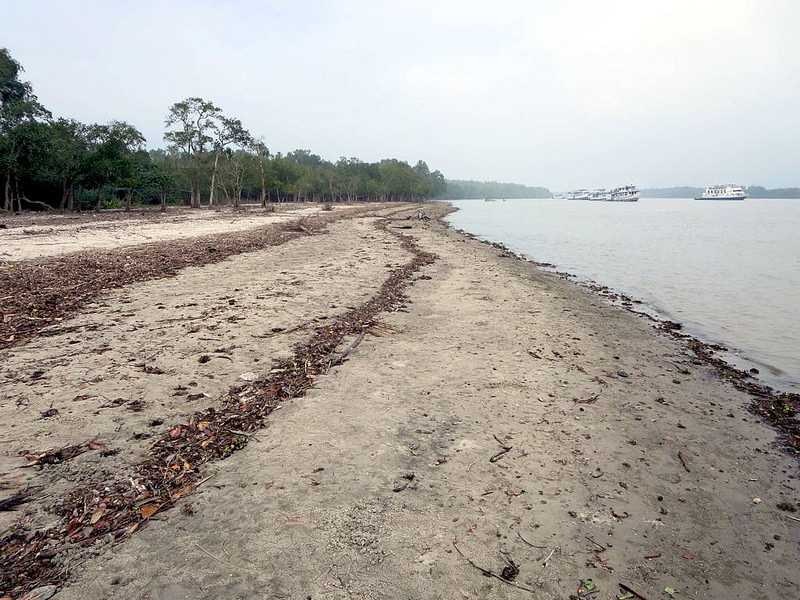 スンダルバンス国立公園の画像15