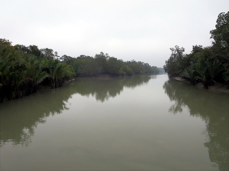 スンダルバンス国立公園の画像19