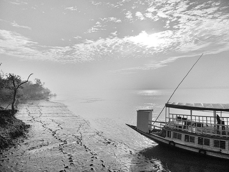 スンダルバンス国立公園の画像25