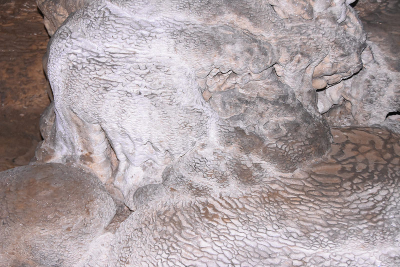 インドの山岳鉄道群の画像2