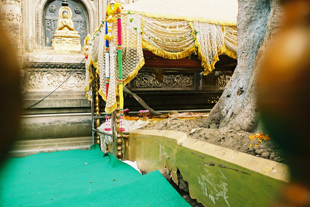 ブッダガヤの大菩提寺の画像4