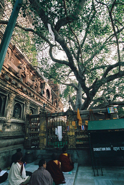 ブッダガヤの大菩提寺の画像5