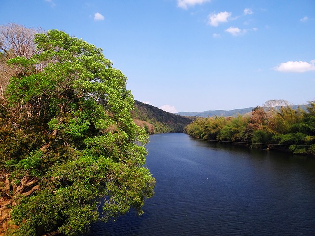 西ガーツ山脈の画像8