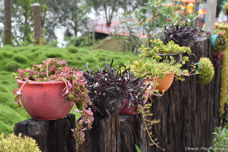 Chinnar Wildlife Sanctuaryの画像4