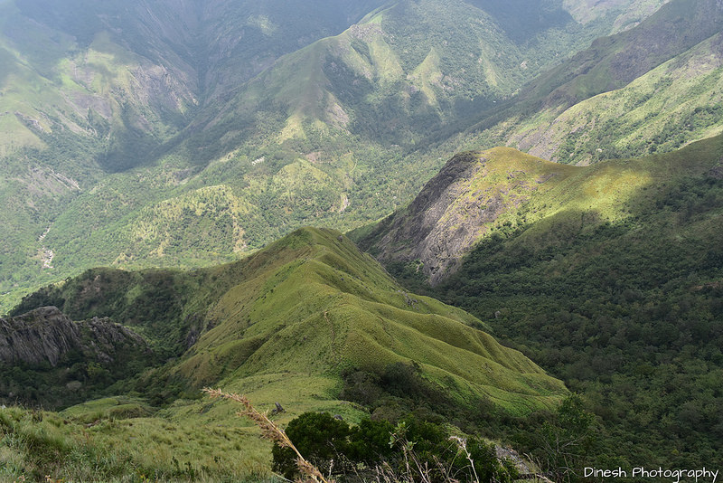 Chinnar Wildlife Sanctuaryの画像6