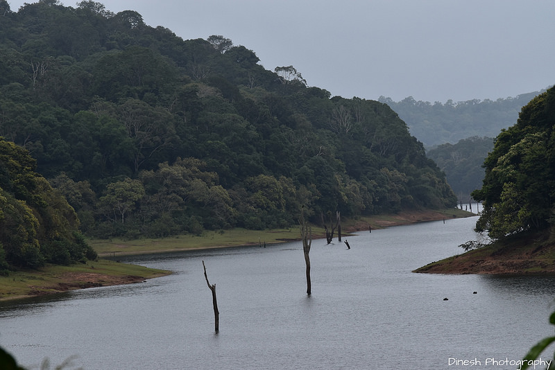 Chinnar Wildlife Sanctuaryの画像8