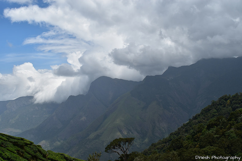 Chinnar Wildlife Sanctuaryの画像9