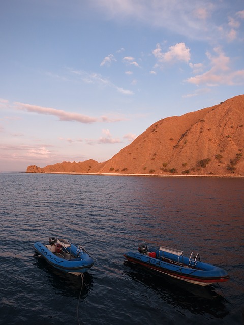 コモド国立公園の画像4