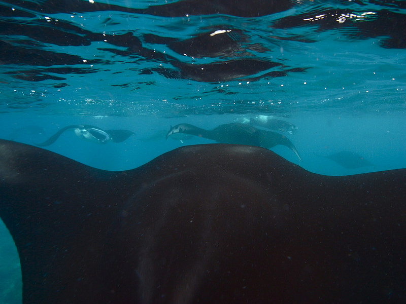 コモド国立公園の画像8