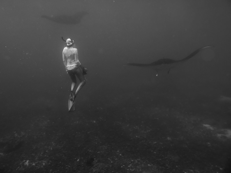 コモド国立公園の画像9