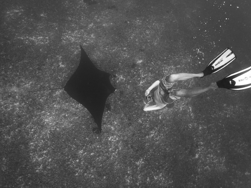 コモド国立公園の画像11