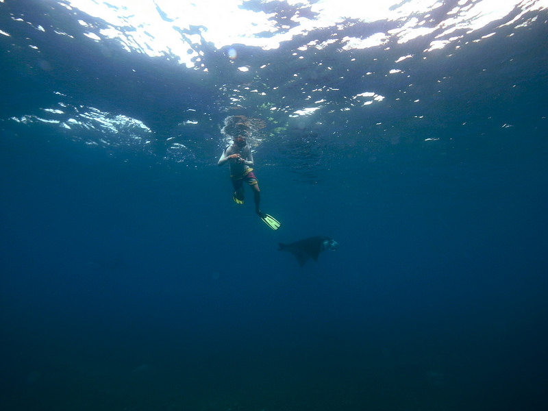コモド国立公園の画像12