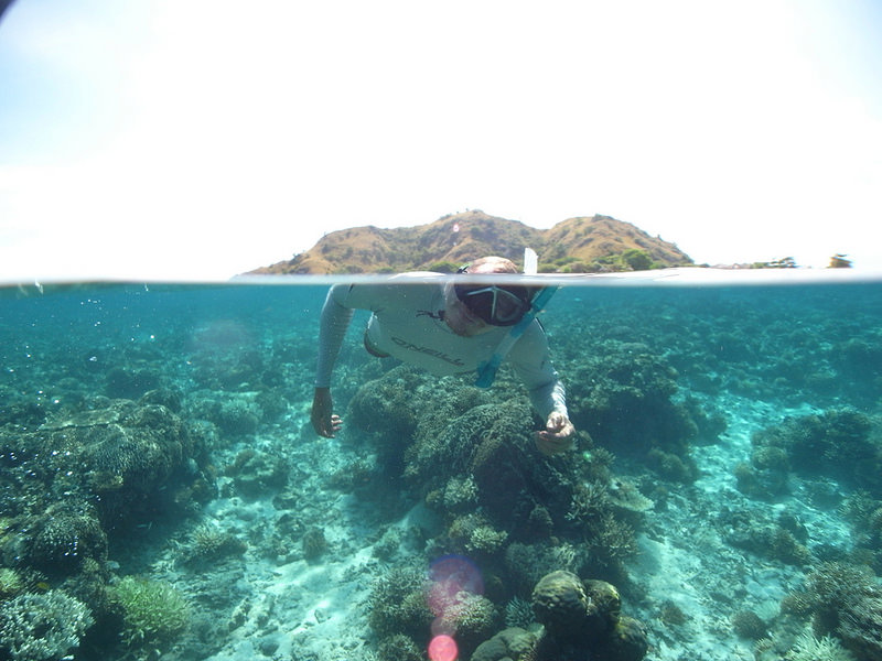 コモド国立公園の画像18