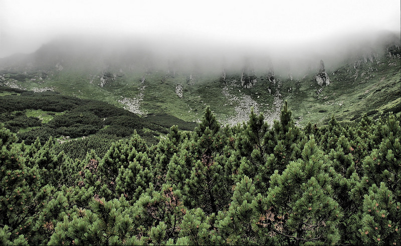 Chornohoraの画像4