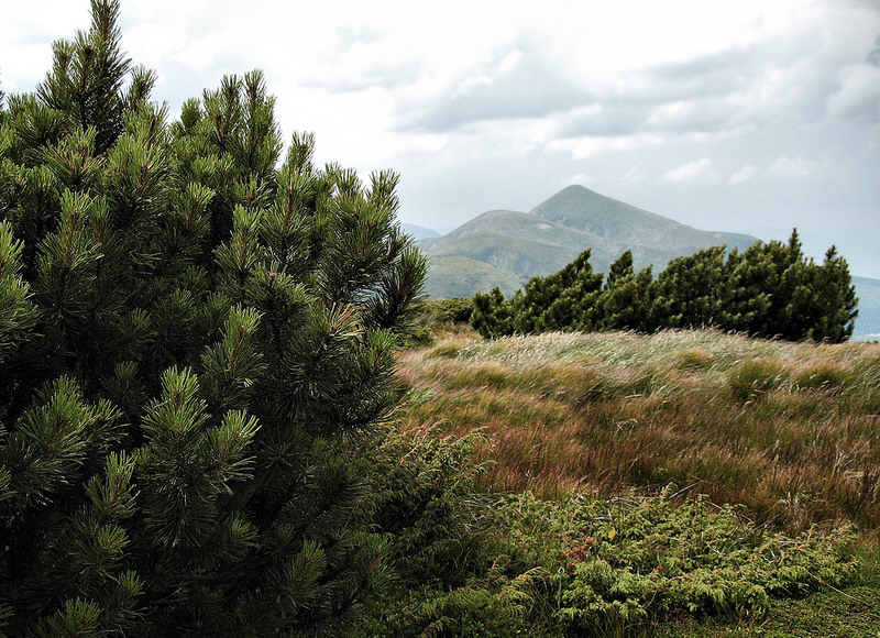 Chornohoraの画像5