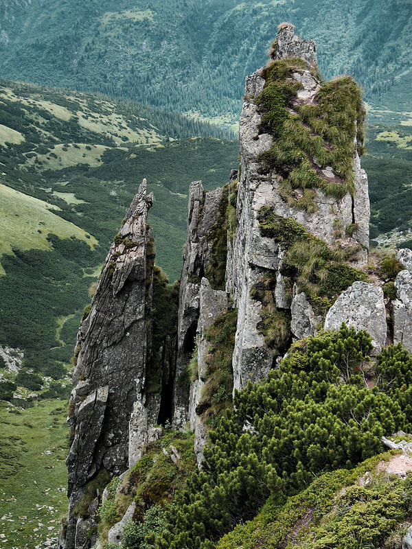 Chornohoraの画像8