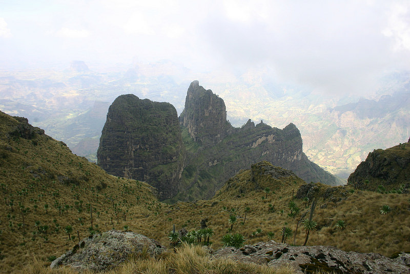 シミエン国立公園の画像20