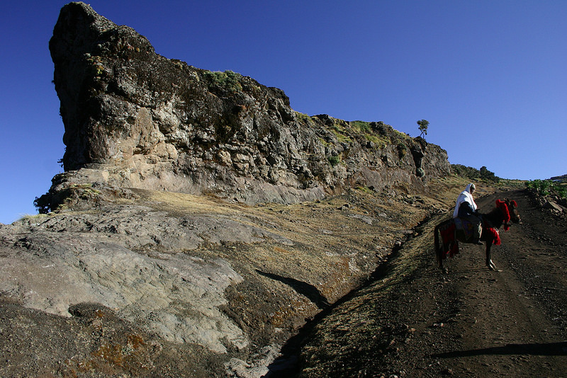 シミエン国立公園の画像25