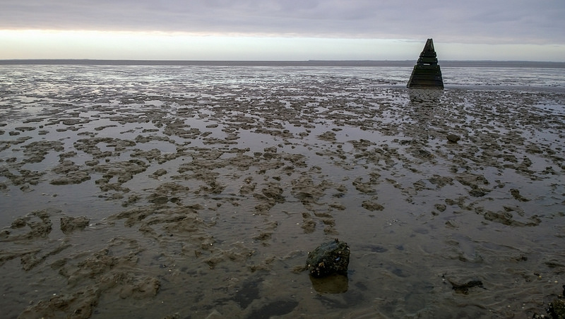 ワッデン海の画像19