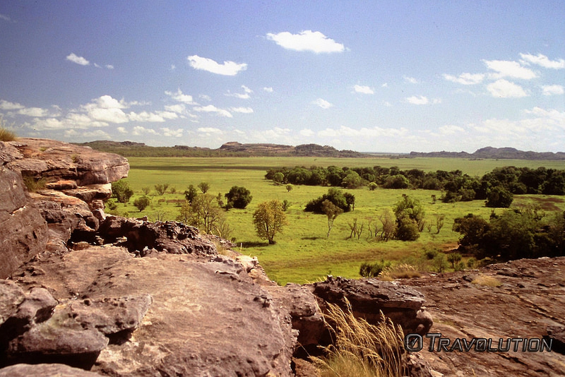 カカドゥ国立公園の画像20