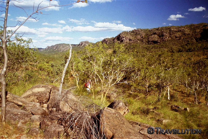 カカドゥ国立公園の画像24