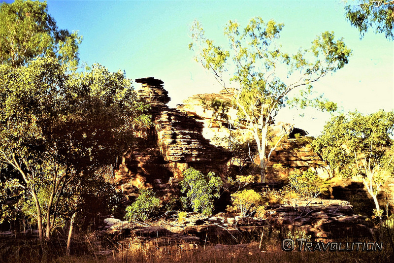 カカドゥ国立公園の画像28