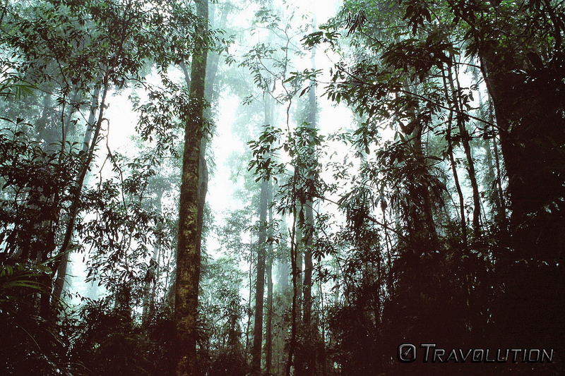 ウォッシュプール国立公園の画像1