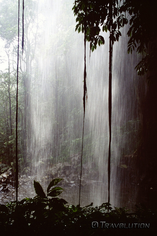 ドリゴ国立公園の画像1