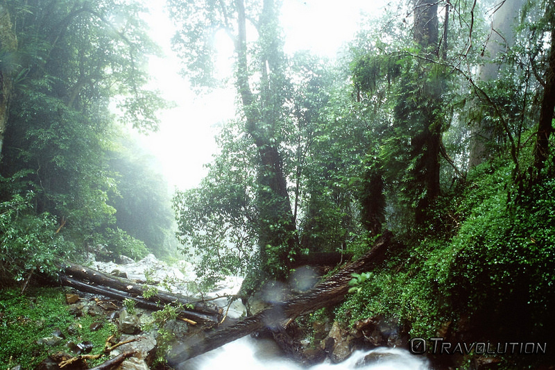 ドリゴ国立公園の画像2