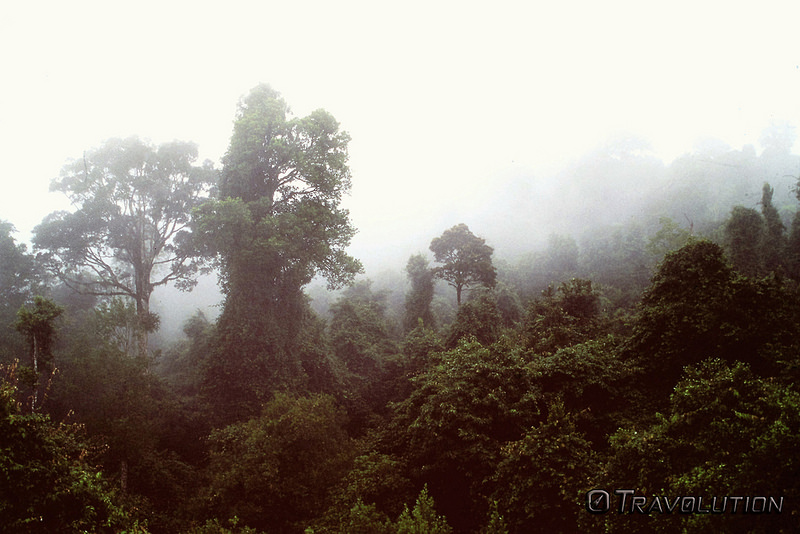 ドリゴ国立公園の画像3