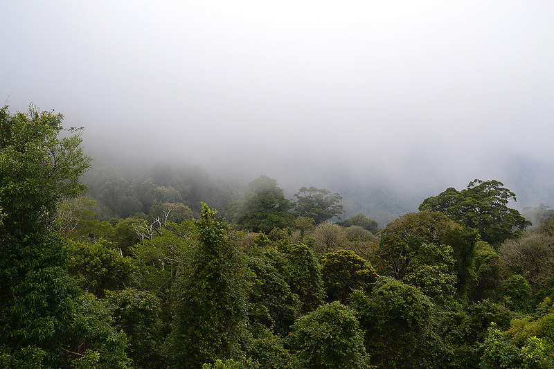 ドリゴ国立公園の画像6