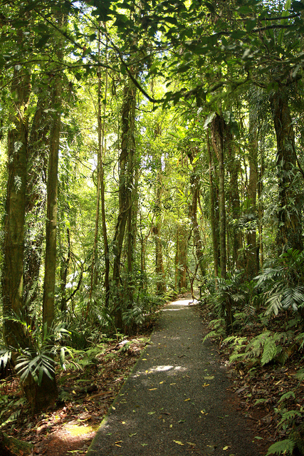 ドリゴ国立公園の画像8