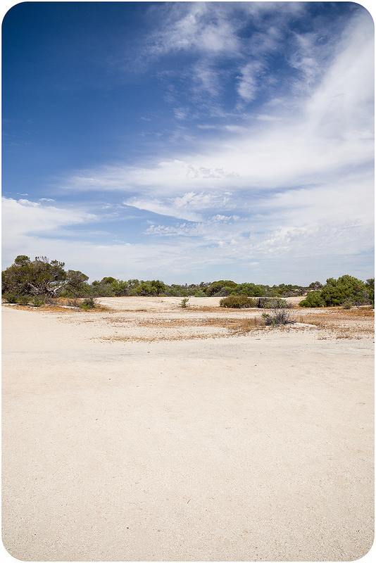 西オーストラリアのシャーク湾の画像5