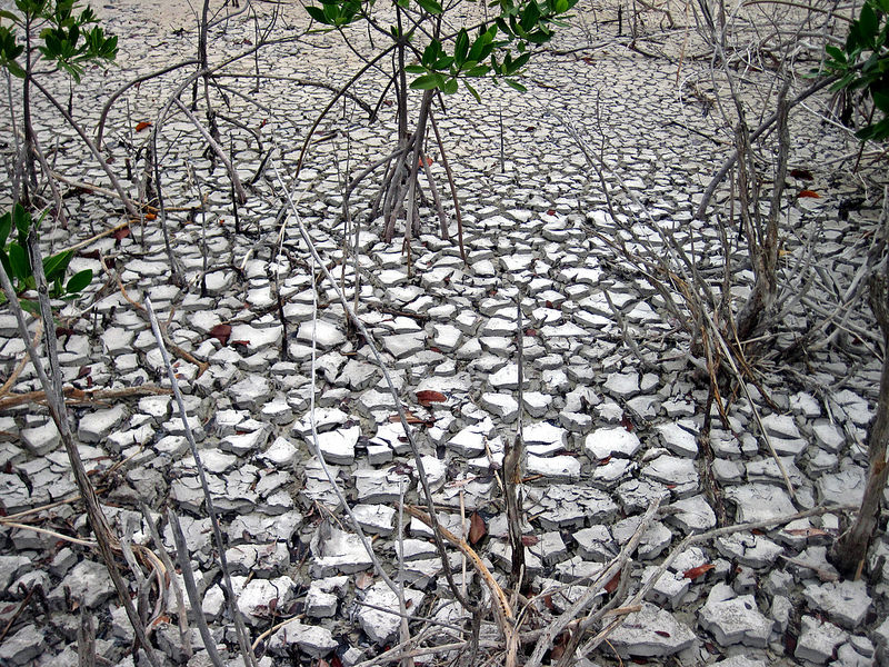 西オーストラリアのシャーク湾の画像12