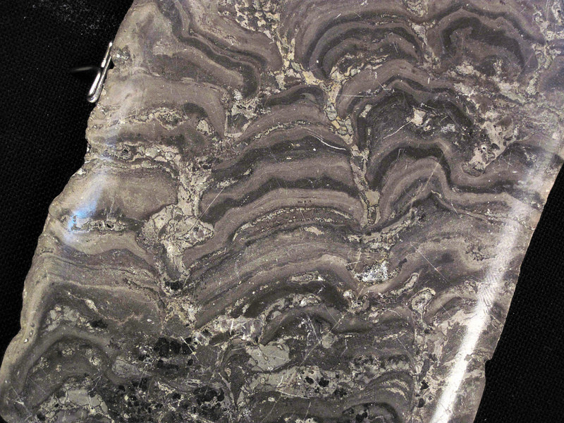 西オーストラリアのシャーク湾の画像14