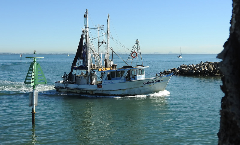 フレーザー島の画像27