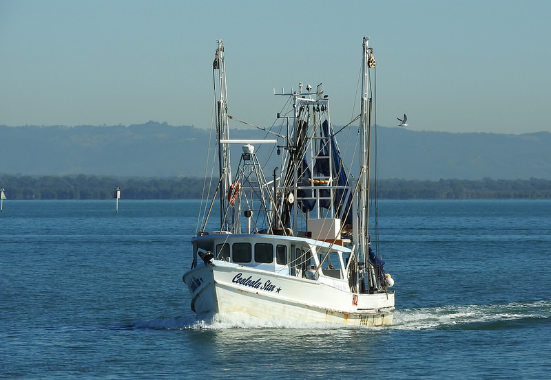 フレーザー島の画像29