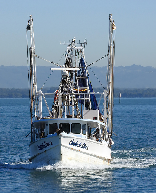 フレーザー島の画像30